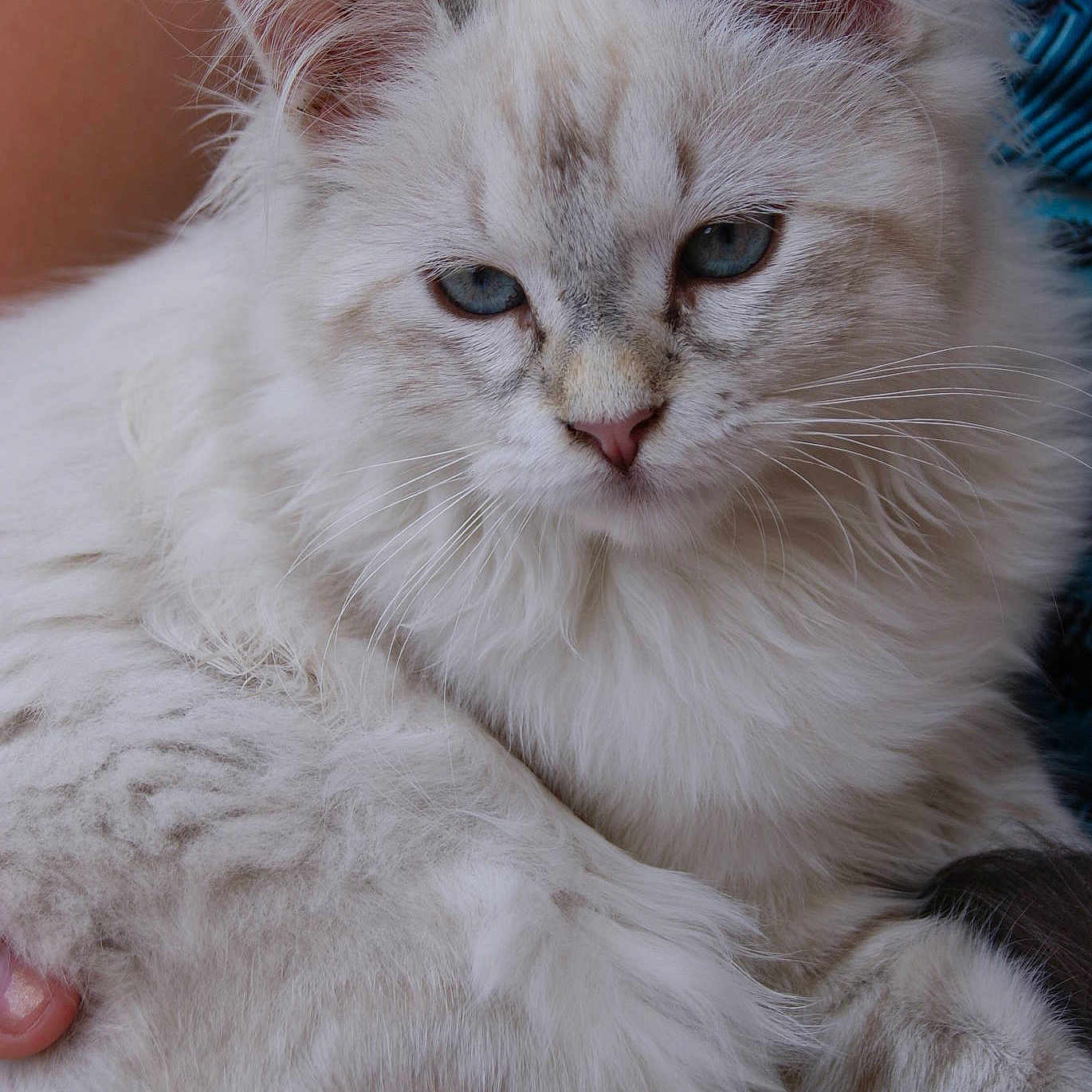 Lilou a rejoint le concours — aidez-le/la à gagner de superbes lots !