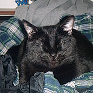 Salem joined the competition — help win amazing prizes!