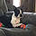 Maggie Ann