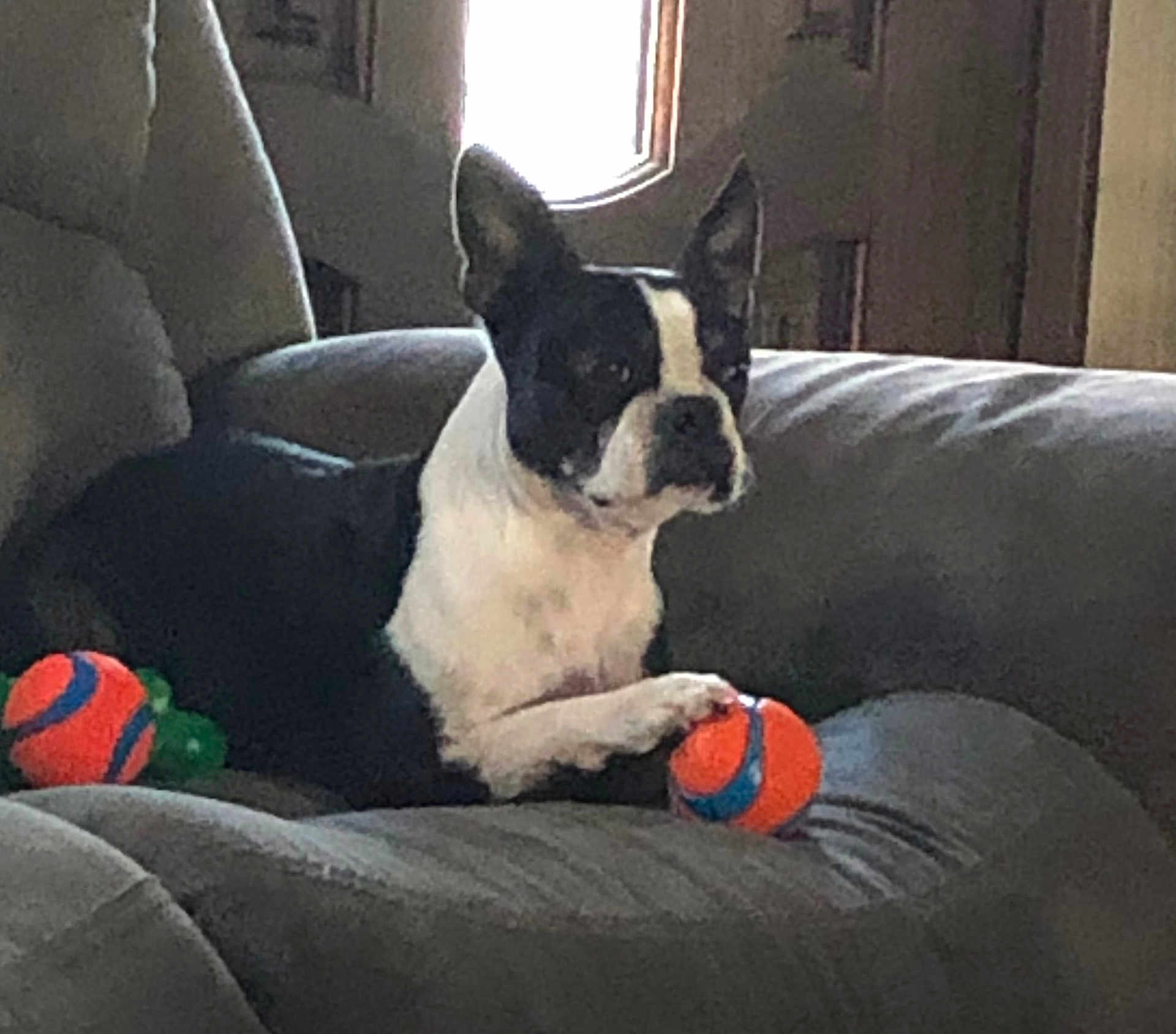 Maggie Ann