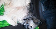 Twix participe au concours pour gagner de l'argent avec cette photo :