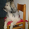 Twix participe au concours pour gagner de l'argent avec cette photo :