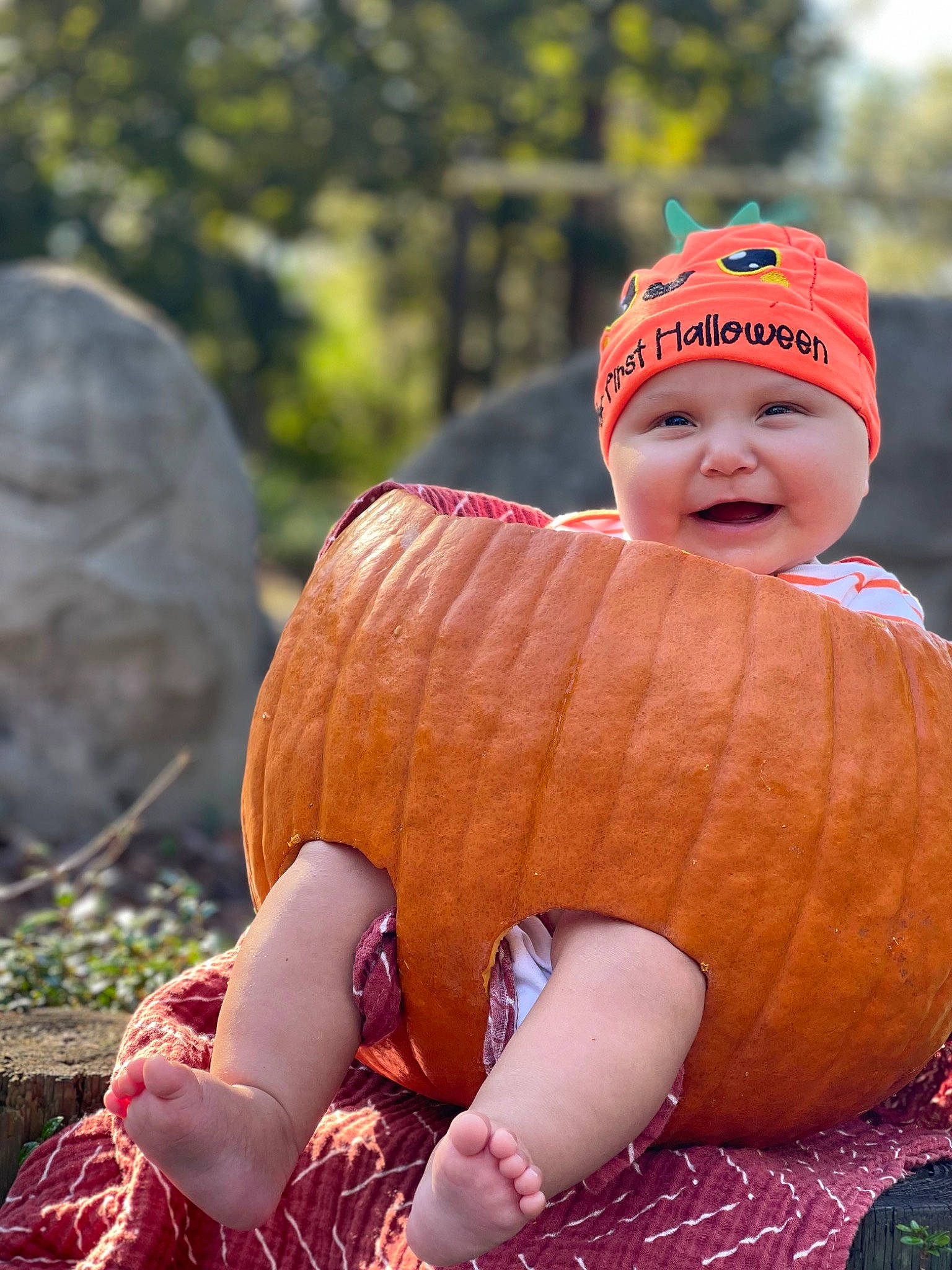 Gabriel joined the competition — help win amazing prizes! baby, baby_toddler_clothing, baseball_cap, calabaza, cap, child, fun, grass, happy, hat, headwear, joy, leaf, people_in_nature, person, plant, pumpkin, sitting, smile, toddler