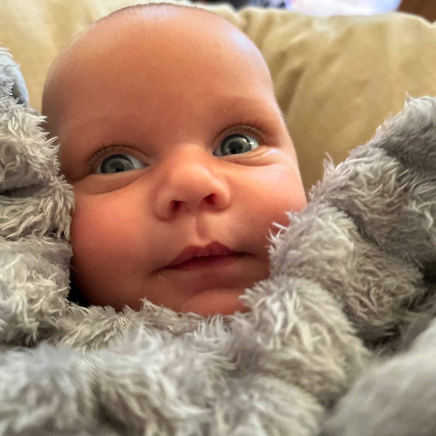 Kayo joined the competition — help win amazing prizes! baby, blanket, blue_eyes, child, close_up, cozy, curious, cute, expression, face, human, indoor, infant, natural_light, newborn, portrait, skin, soft_texture, warm, wrapped