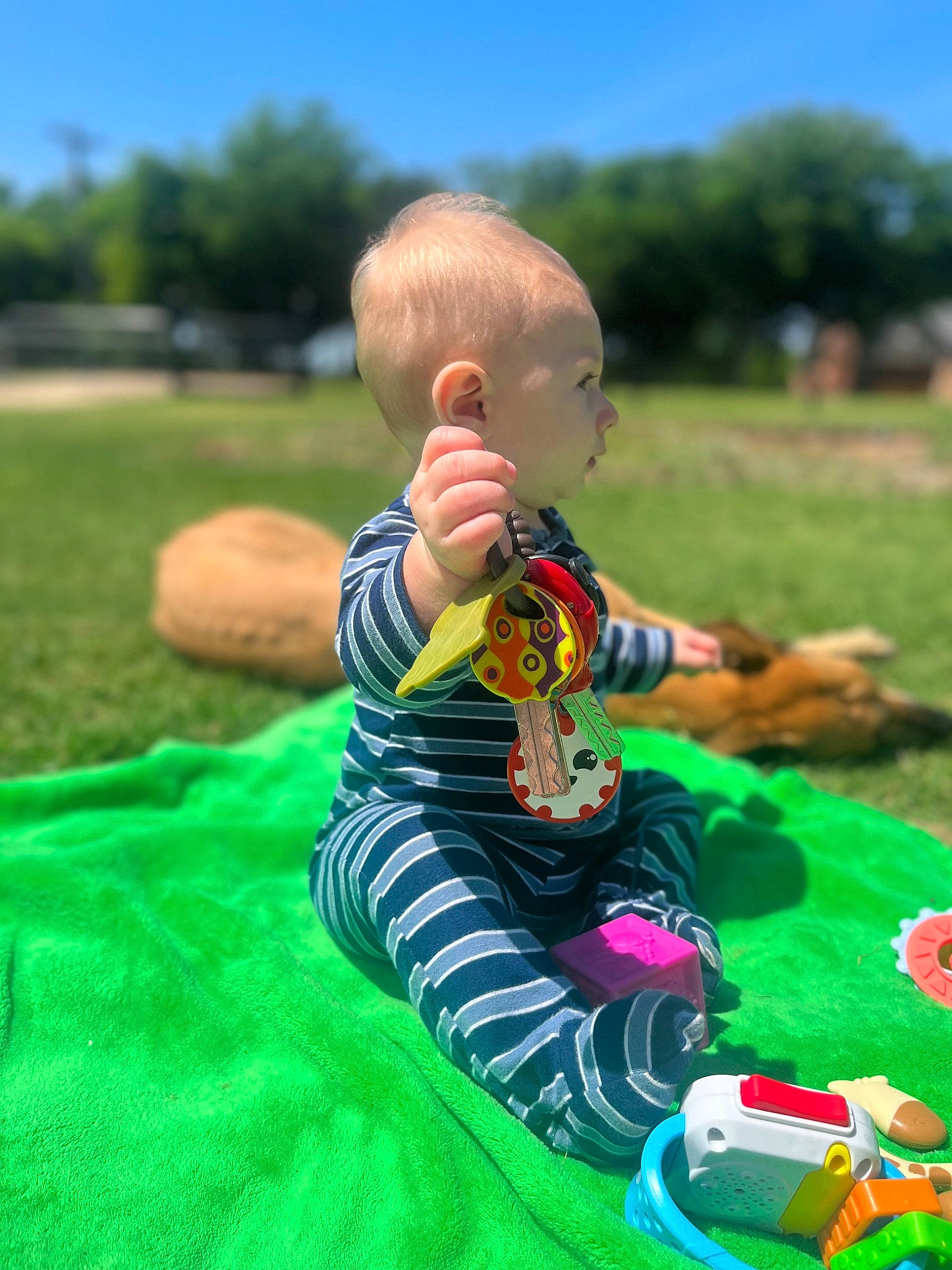 Paxton joined the competition — help win amazing prizes! baby, baby_toddler_clothing, dress, fun, grass, grass_family, green, happy, lawn, leisure, mammal, people, people_in_nature, person, plant, recreation, sky, summer, toddler, toy
