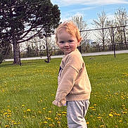 Emery joined the competition — help win amazing prizes! toddler, child, grass, field, flowers, yellow_flowers, sweater, pants, outdoor, nature, tree, sky, clouds, smile, face, standing, greenery, fence, daylight, casual_clothing