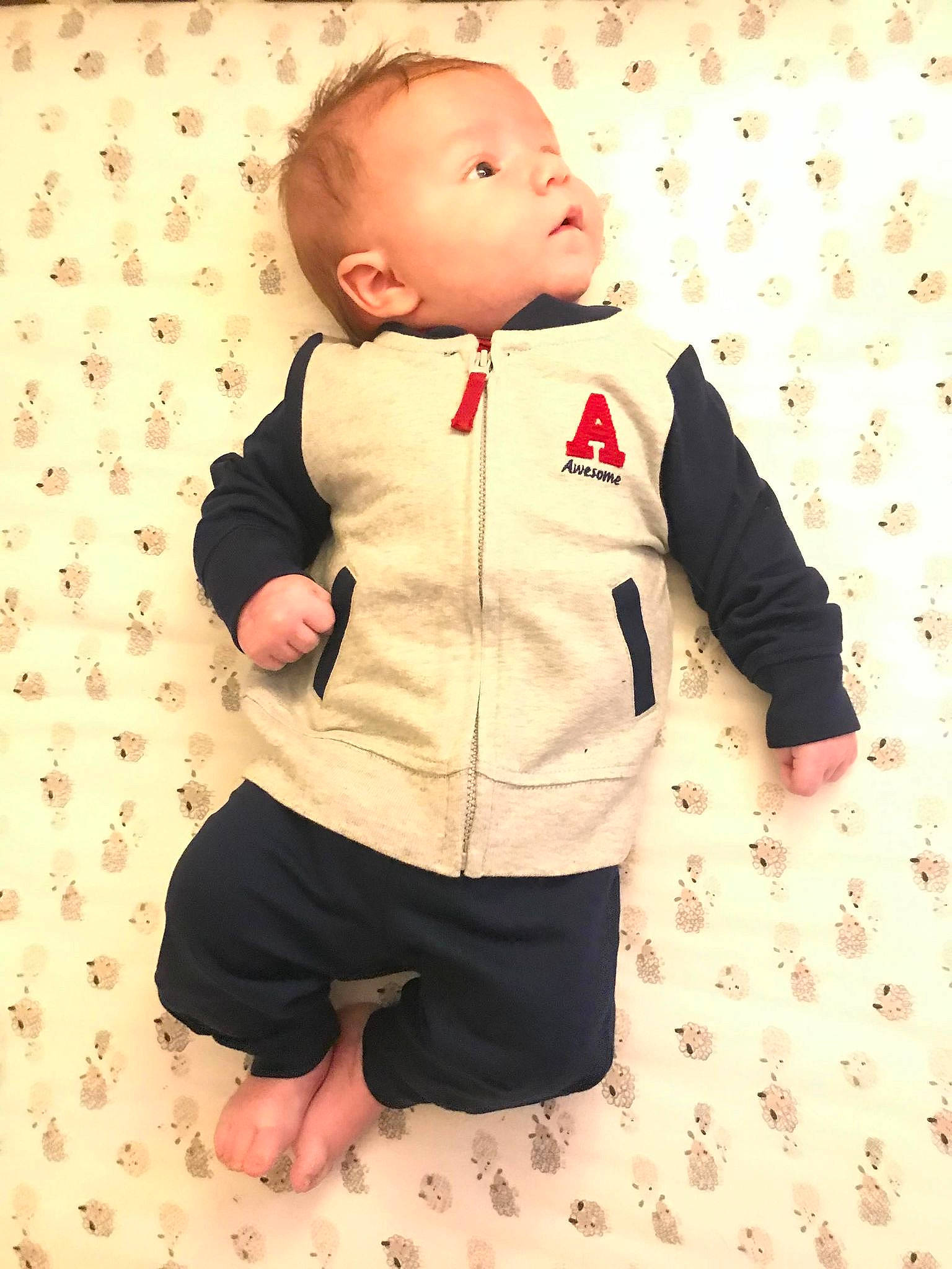 Loki is registered to the contest to win money with this photo: baby, baby_toddler_clothing, cheek, child, collar, comfort, dress, dress_shirt, flooring, formal_wear, happy, head, linens, pattern, person, sitting, sleeve, suit, t_shirt, toddler