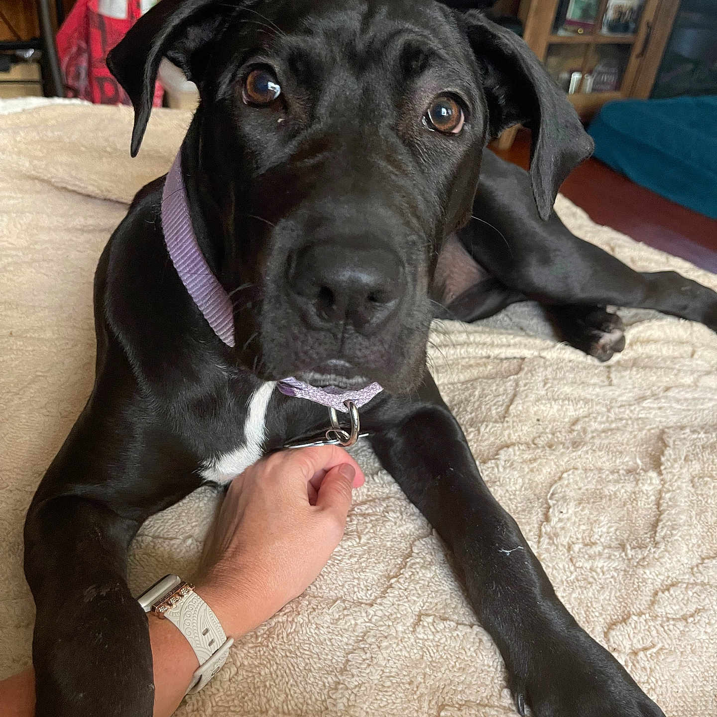 Zoey