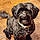 Marmaduke