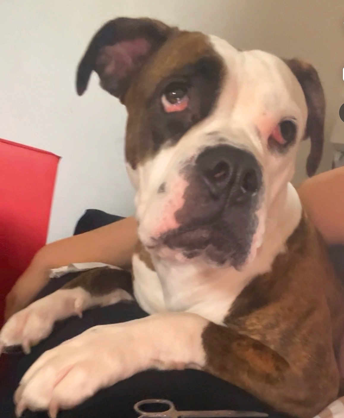 Rosie