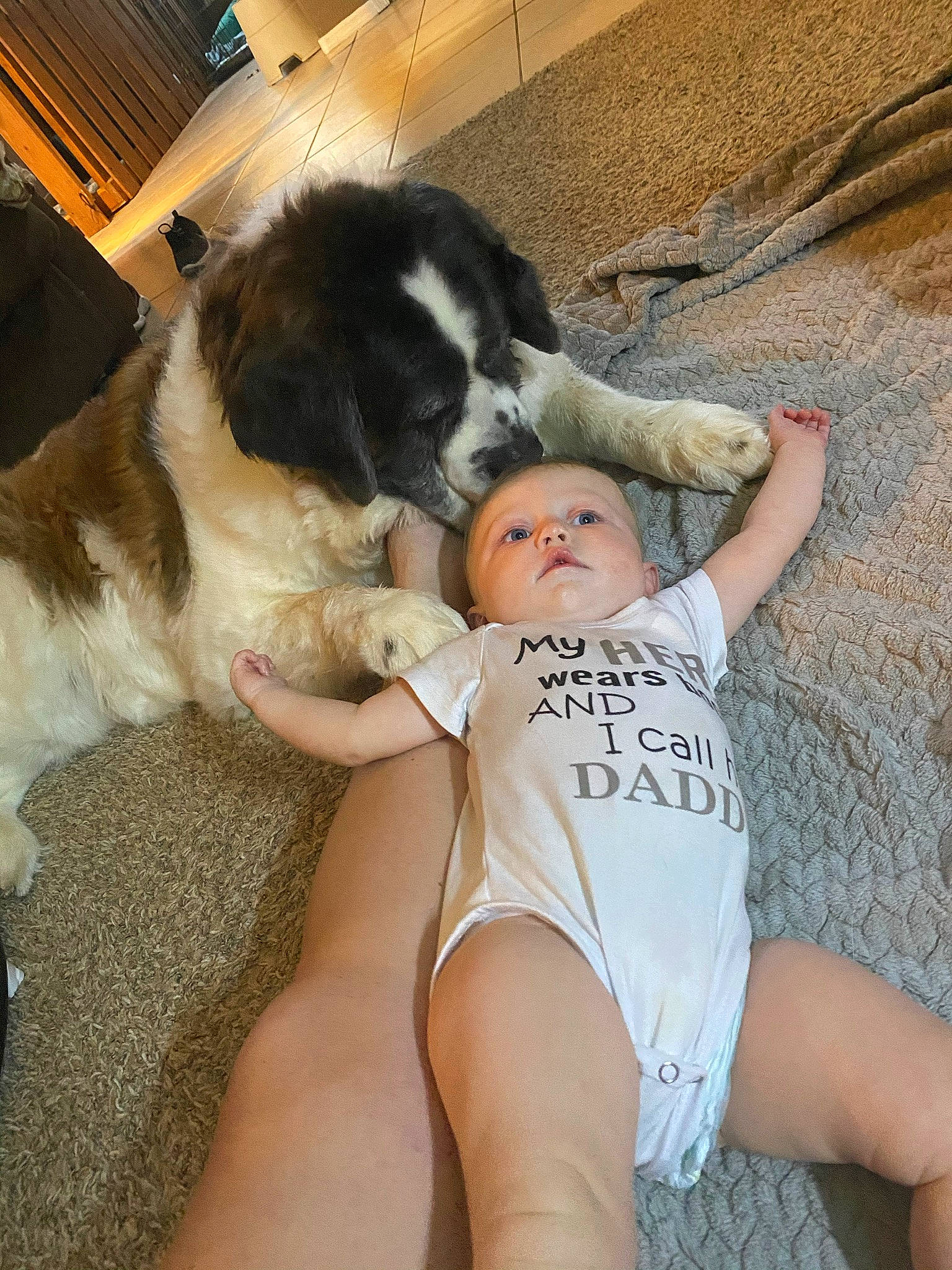 Braylynn is registered to the contest to win money with this photo: abdomen, baby, barefoot, border_collie, carnivore, chest, comfort, companion_dog, dog, dog_breed, foot, fur, human_leg, lap, mammal, navel, person, sitting, sporting_group, thigh