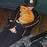 Dee Dee joined the competition — help win amazing prizes! cat, person, orange_cat, sitting, floor, headphones, cap, dark_clothing, carpet, indoor, resting, pet, hands, fingers, logo, text, bag, plastic_bag, wood_floor, relaxation