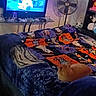 Dee Dee joined the competition — help win amazing prizes! cat, bed, blanket, looney_tunes, tv, animation, fan, shelf, indoor, room, orange_cat, furniture, cozy, resting, decor, television, cartoon, comfort, household, relaxation
