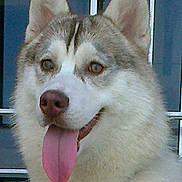 Mocha a rejoint le concours — aidez-le/la à gagner de superbes lots !