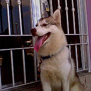 Mocha participe au concours pour gagner de l'argent avec cette photo :