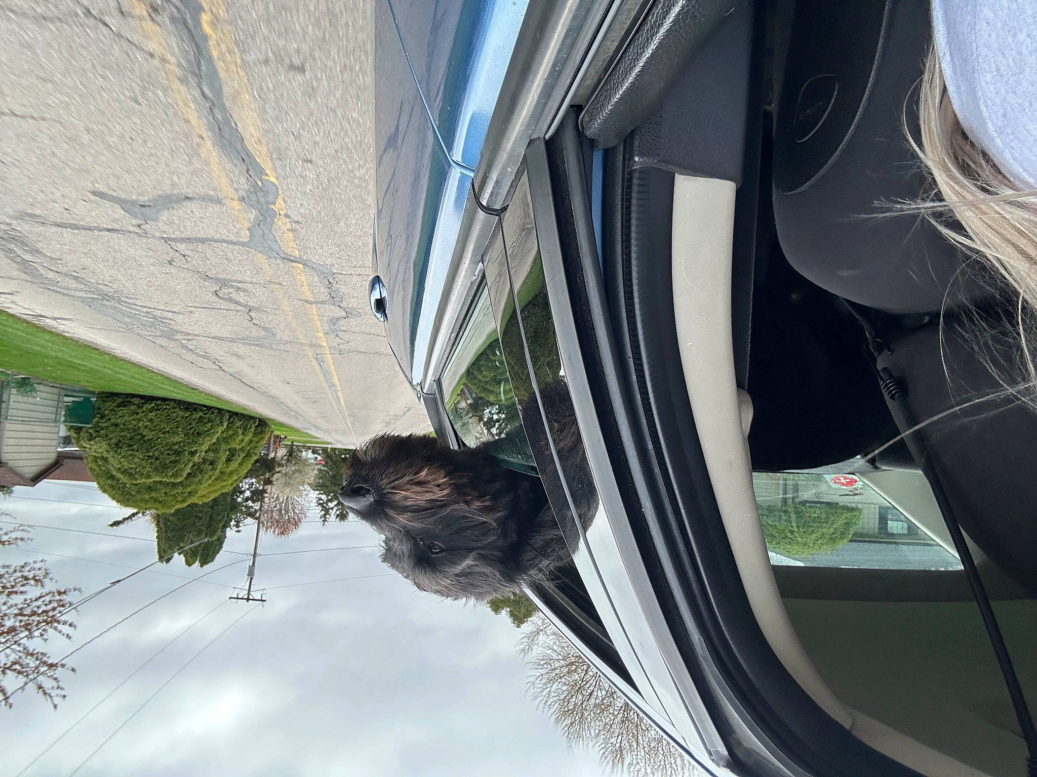 Gus joined the competition — help win amazing prizes! auto_part, automotive_exterior, automotive_tire, building, daytime, houseplant, motor_vehicle, plant, sky, tints_and_shades, tower, tree, trunk, vehicle, vehicle_door, water, wheel, window, windshield, woody_plant