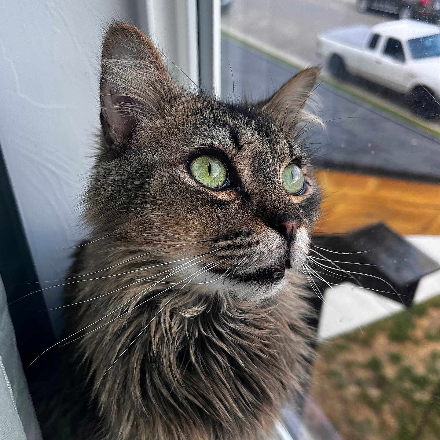 Mochi