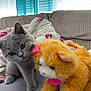 kitten, plush_toy, cat, gray_cat, orange_toy_cat, pink_bow, heart_tag, couch, blanket, indoor, curious, soft_toy, pet, furry, close_up, window_blinds, home, cozy, animal, feline
