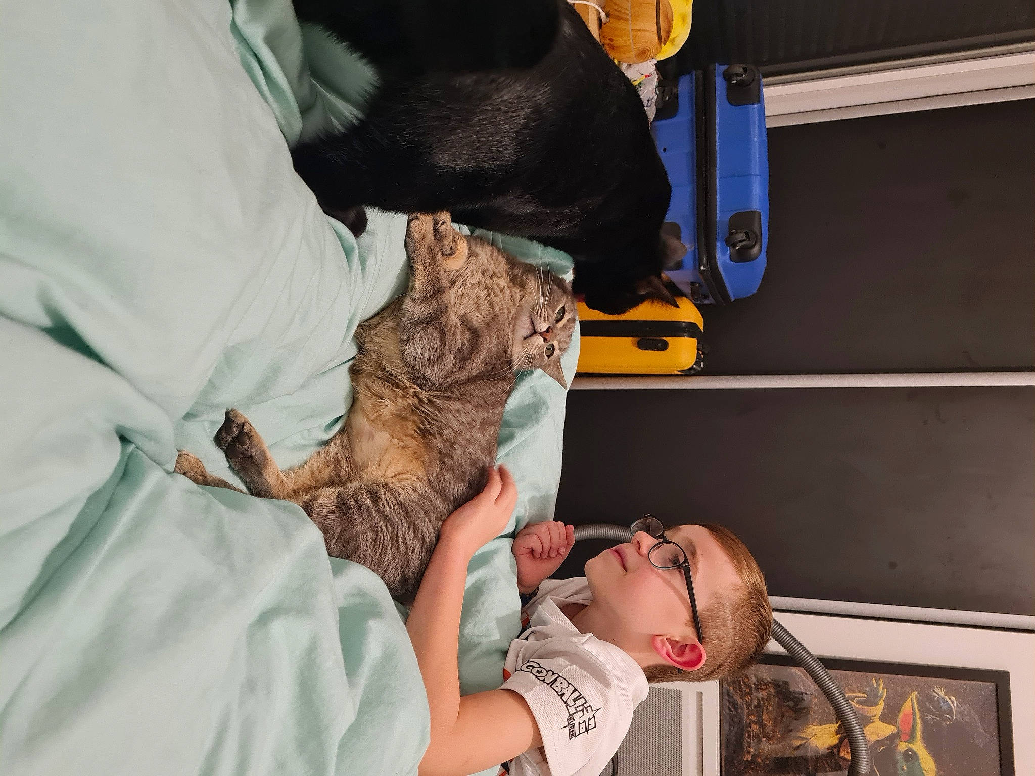 Naoki participe au concours pour gagner de l'argent avec cette photo : child, comfort, elbow, felidae, fur, linens, person, room, safety_glove, sleeve, t_shirt, toddler, wrist