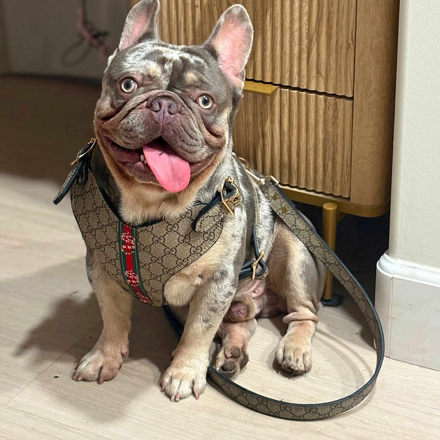 Deebo