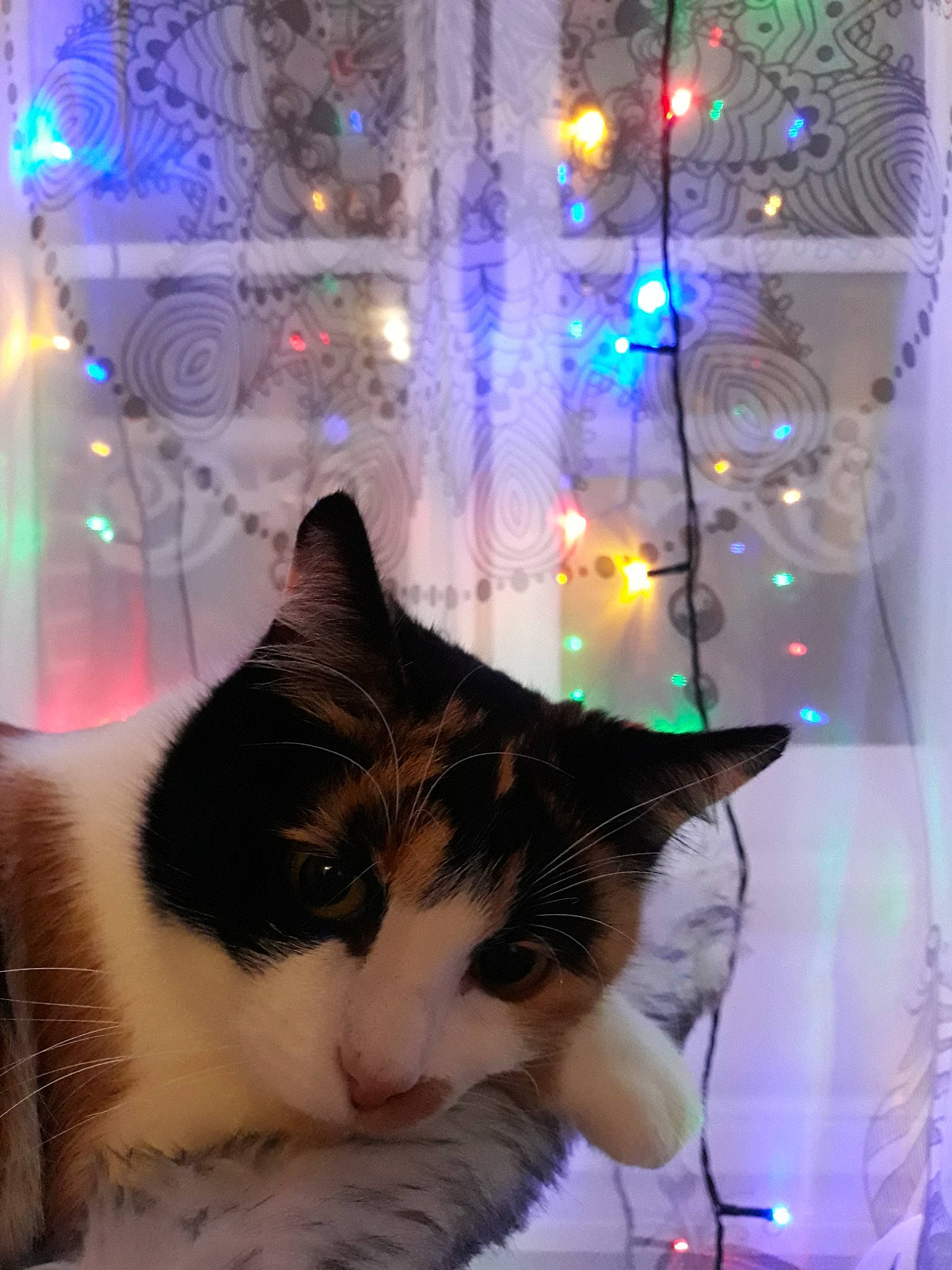 Nala