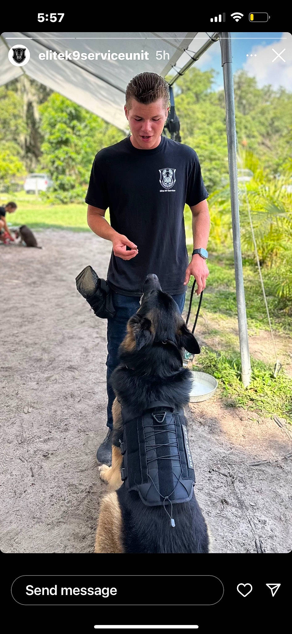 Bandit joined the competition — help win amazing prizes! canidae, carnivore, companion_dog, dog, dog_breed, dog_hiking, dog_walking, fur, grass, leash, plant, recreation, shorts, soil, sporting_group, t_shirt, tail, tree, walking, wildlife_biologist