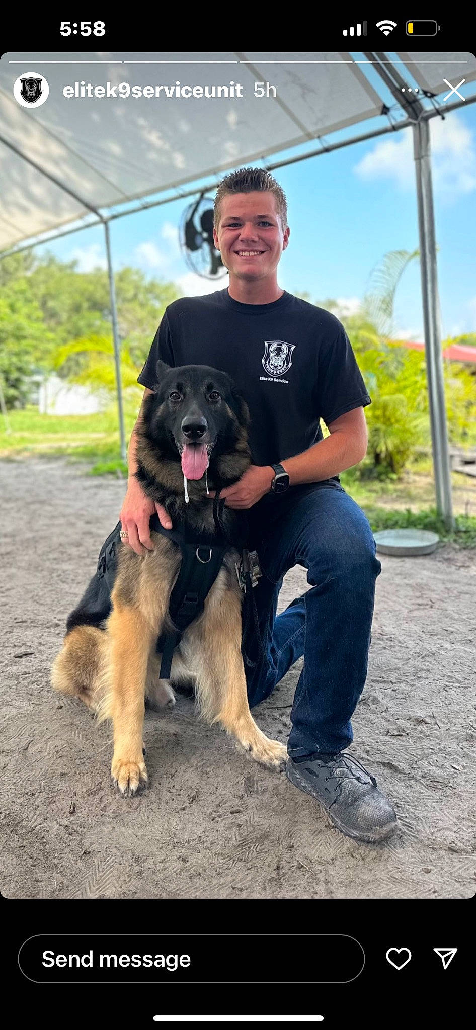 Bandit joined the competition — help win amazing prizes! animal_training, canidae, carnivore, cloud, companion_dog, dog, dog_breed, guard_dog, mammal, plant, sky, smile, sporting_group, t_shirt, tree, working_animal, working_dog