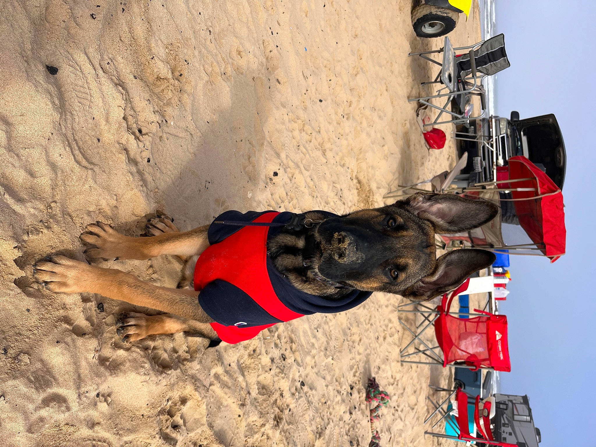 Brody joined the competition — help win amazing prizes! adventure, automotive_tire, carmine, climbing_harness, extreme_sport, fun, landscape, machine, recreation, sky, soil, thigh, tire, vehicle, wheel, window, winter, working_animal