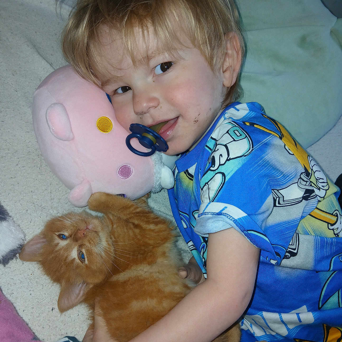 Suchi participe au concours pour gagner de l'argent avec cette photo : animal, baby, bed, bedroom, blanket, cat, couch, cushion, face, furniture, head, homedecor, indoors, kitten, person, pet, photography, portrait, room, sleeping