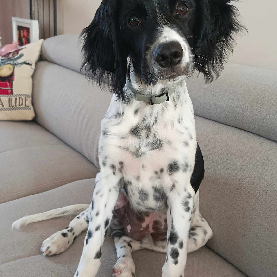 Woody