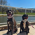 Melissa S.