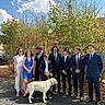 Aston participe au concours pour gagner de l'argent avec cette photo : dog, people, group_portrait, outdoor, sunny, blue_sky, clouds, trees, foliage, autumn, formalwear, suits, dresses, wedding, family, friends, standing, leash, ceremony, residential_area