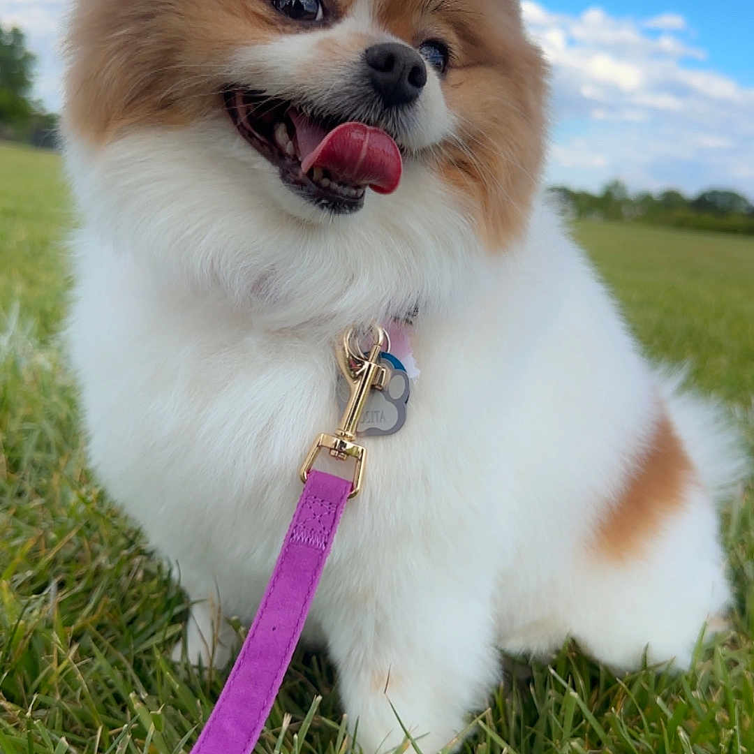 Osita