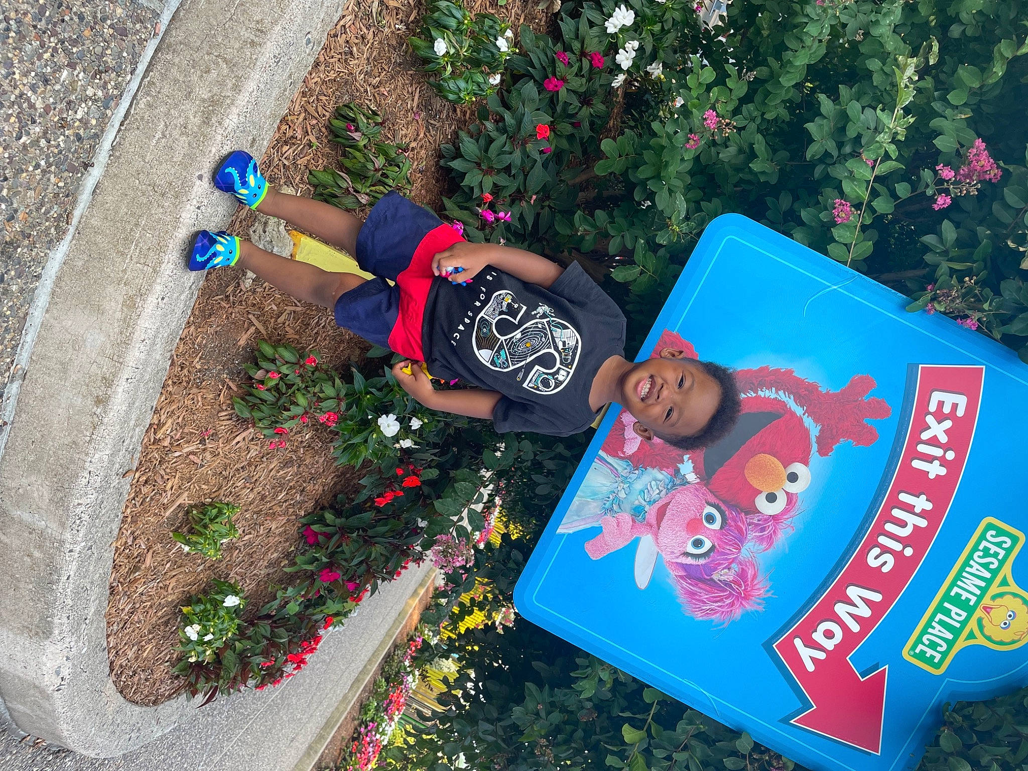 Landon is registered to the contest to win money with this photo: adaptation, electric_blue, event, flower, fun, grass, green, happy, leisure, magenta, nature, people_in_nature, person, pink, plant, recreation, red, sidewalk, smile, summer