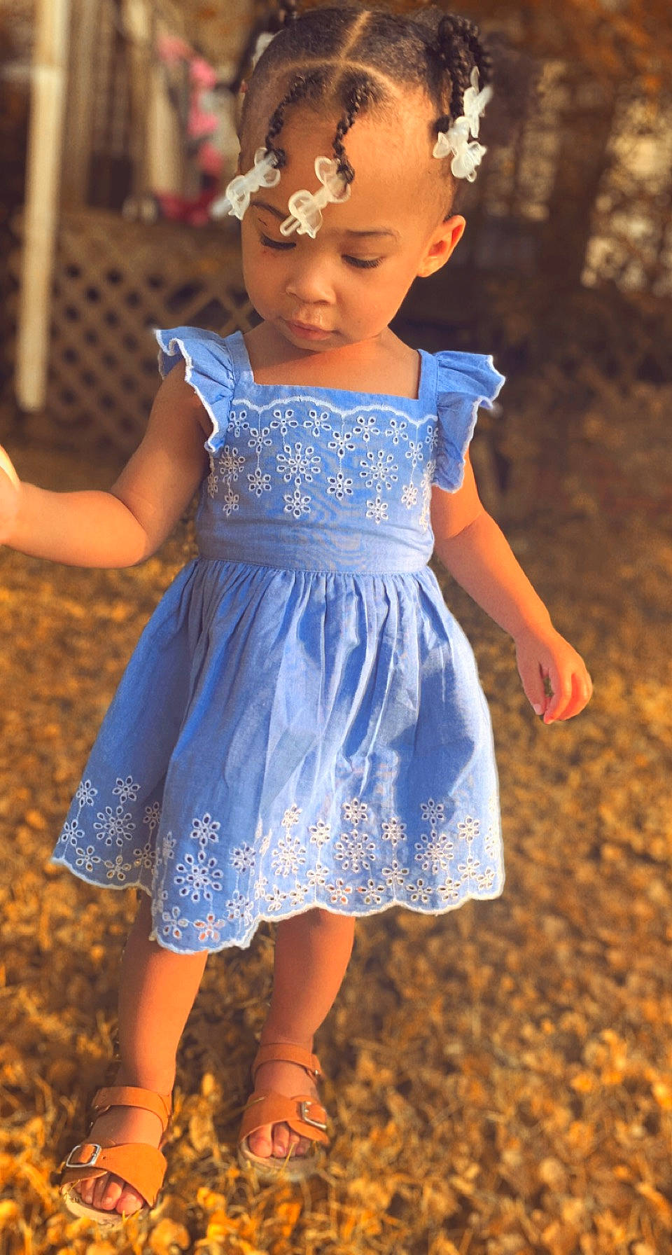 Honesty joined the competition — help win amazing prizes! azure, baby_toddler_clothing, blue, day_dress, dress, face, fashion_design, fun, grass, hair, happy, iris, leg, one_piece_garment, outerwear, person, photograph, shoulder, textile, toddler