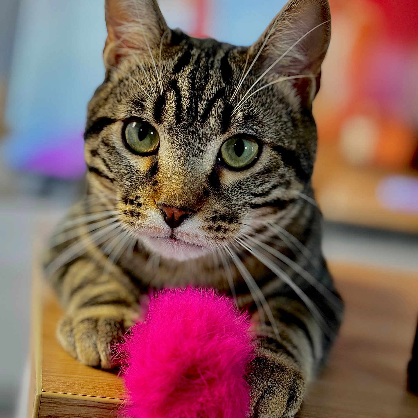 Milo