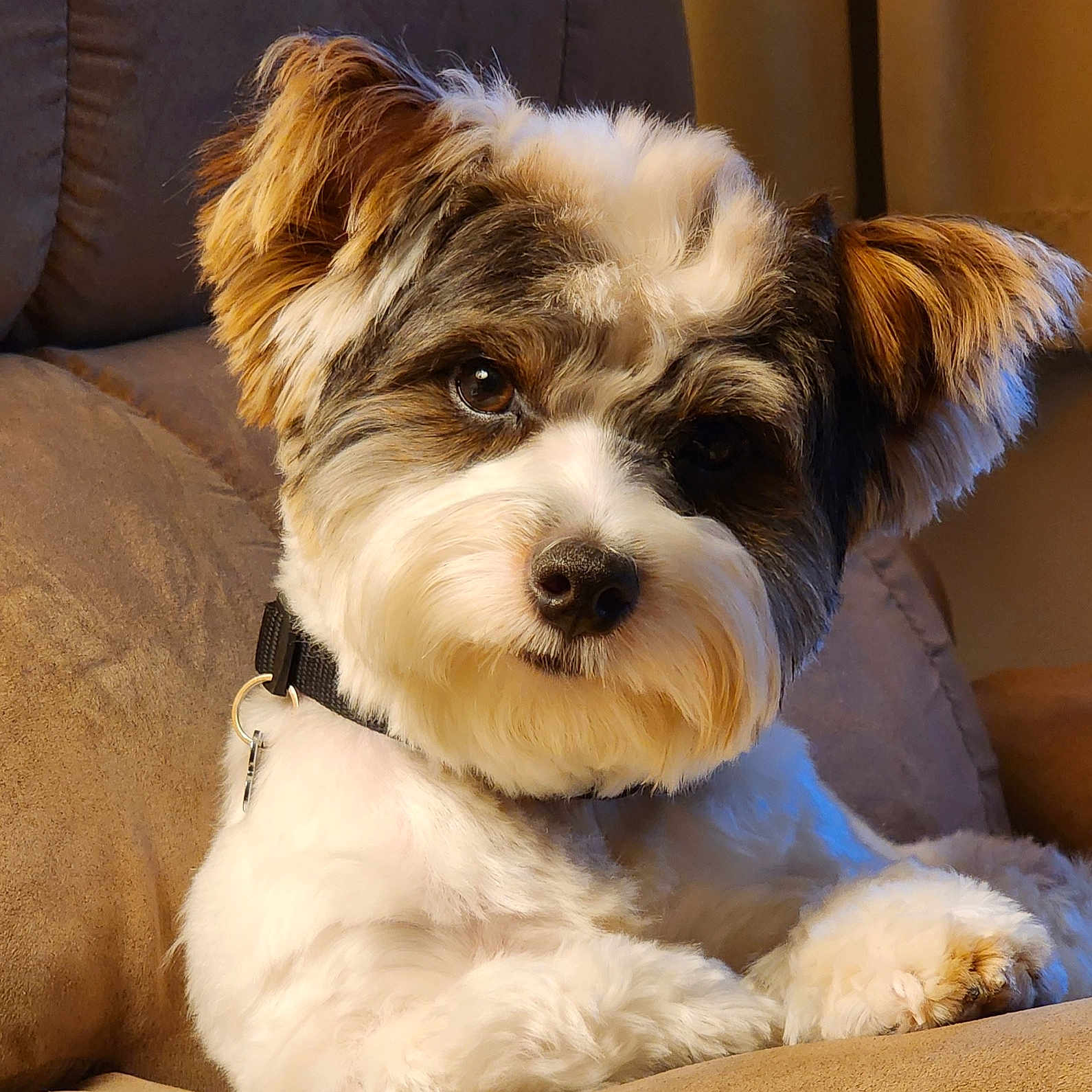 Coco