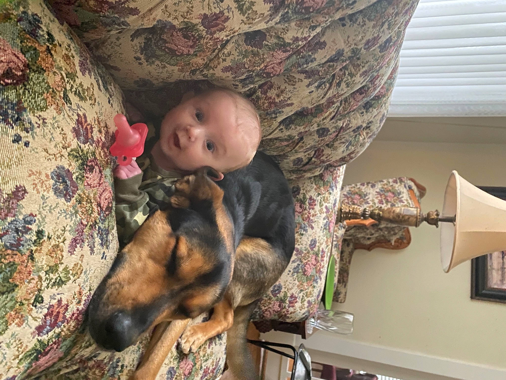 Emery is registered to the contest to win money with this photo: canidae, carnivore, child, companion_dog, dog, dog_breed, fawn, fun, fur, guard_dog, person, plant, sitting, sporting_group, tree, wood, wool, working_animal