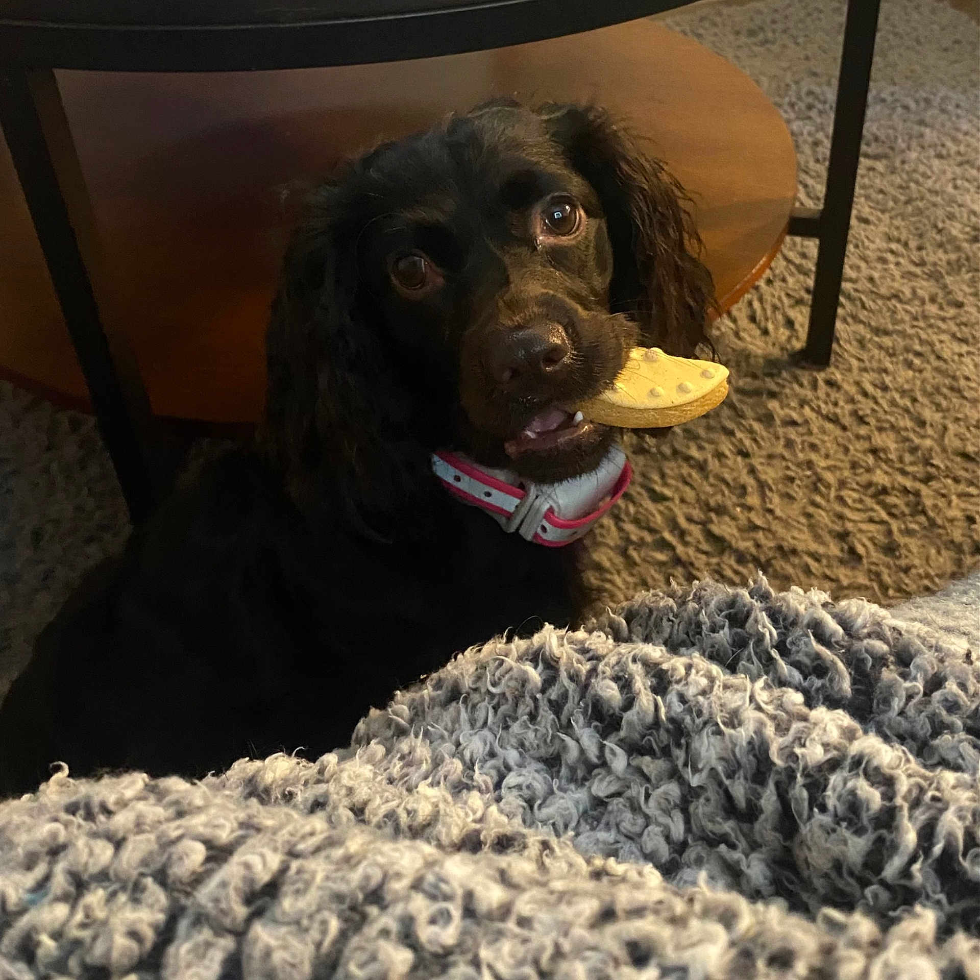 Millie