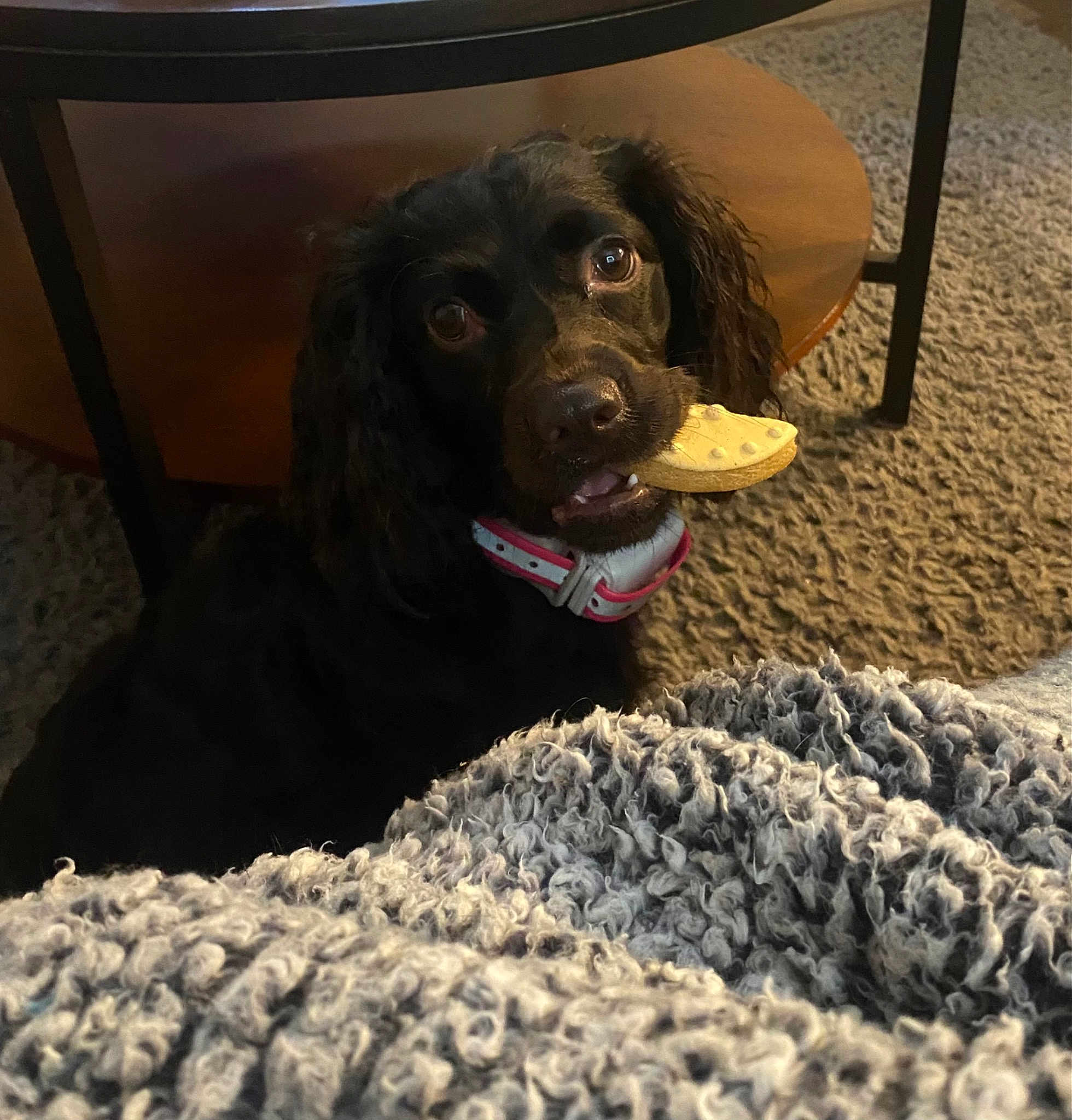 Millie