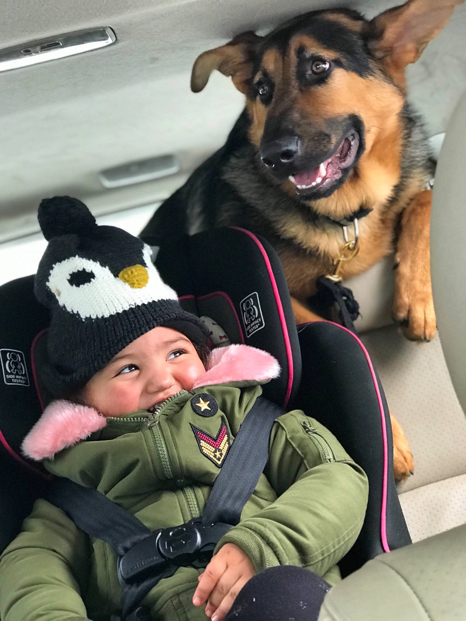 Stan is registered to the contest to win money with this photo: canidae, car_seat, carnivore, child, companion_dog, dog, dog_breed, german_shepherd_dog, headwear, law_enforcement, person, police_dog, toddler, vehicle, working_dog