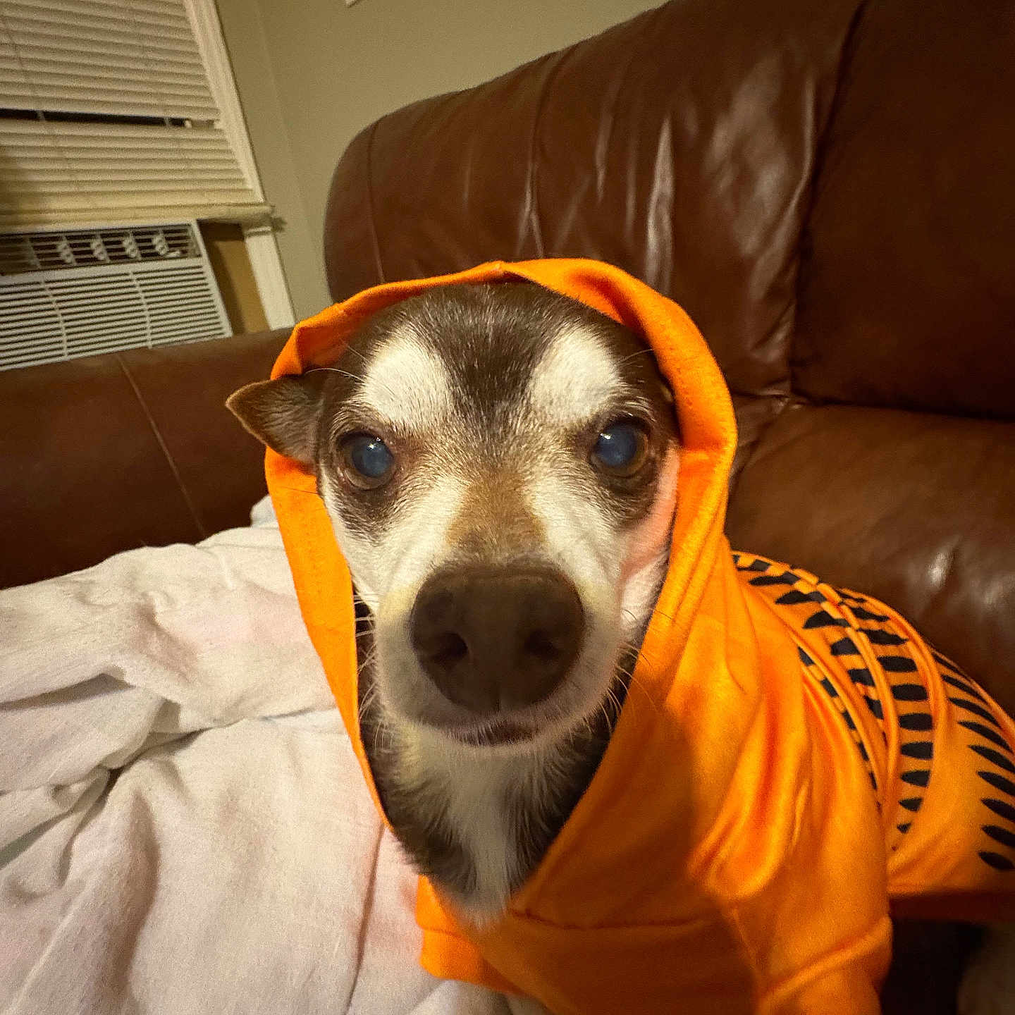 Peanut