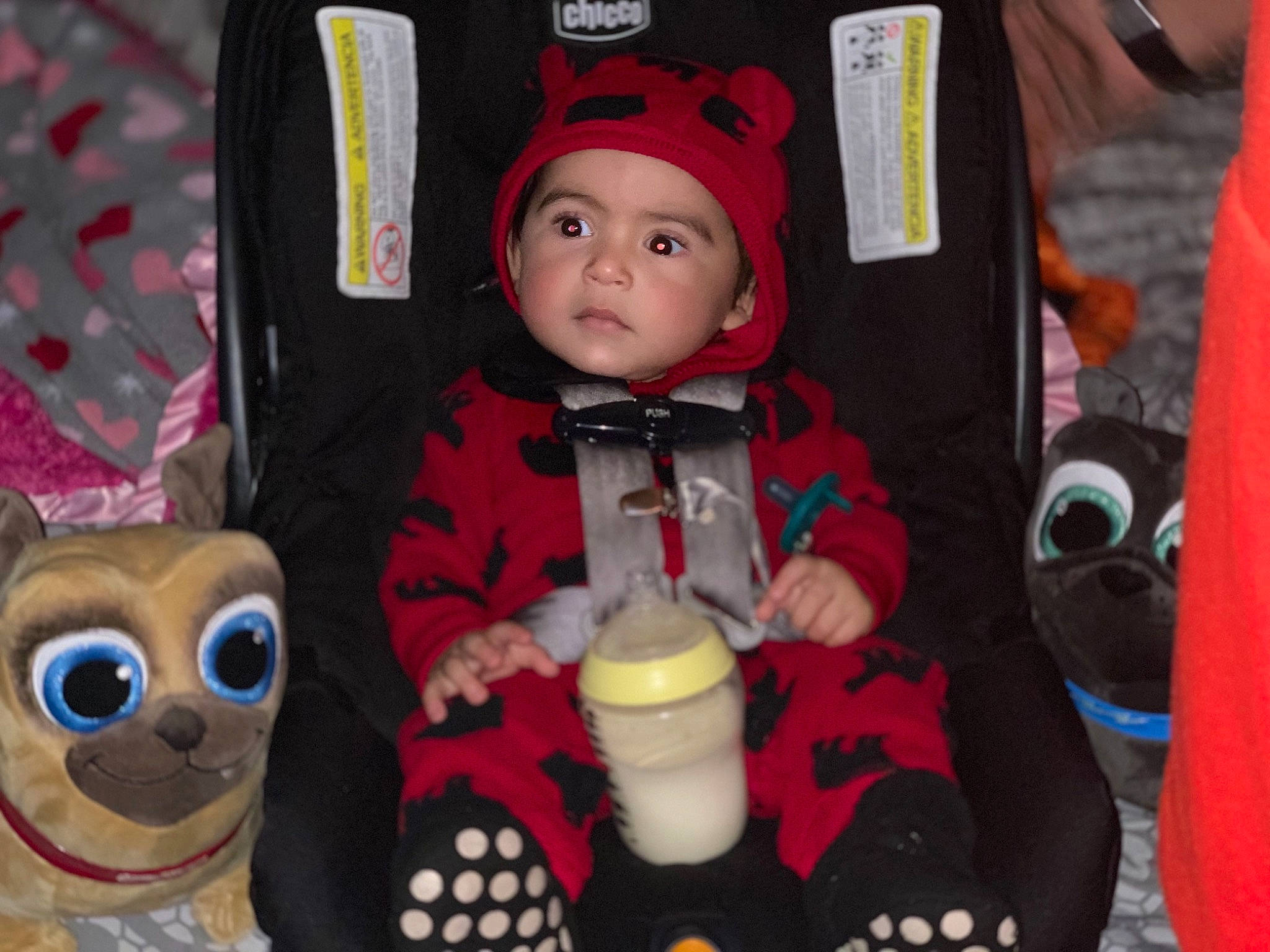 Cristiano joined the competition — help win amazing prizes! child, doll, person, plush, puppet, stuffed_toy, toddler, toy