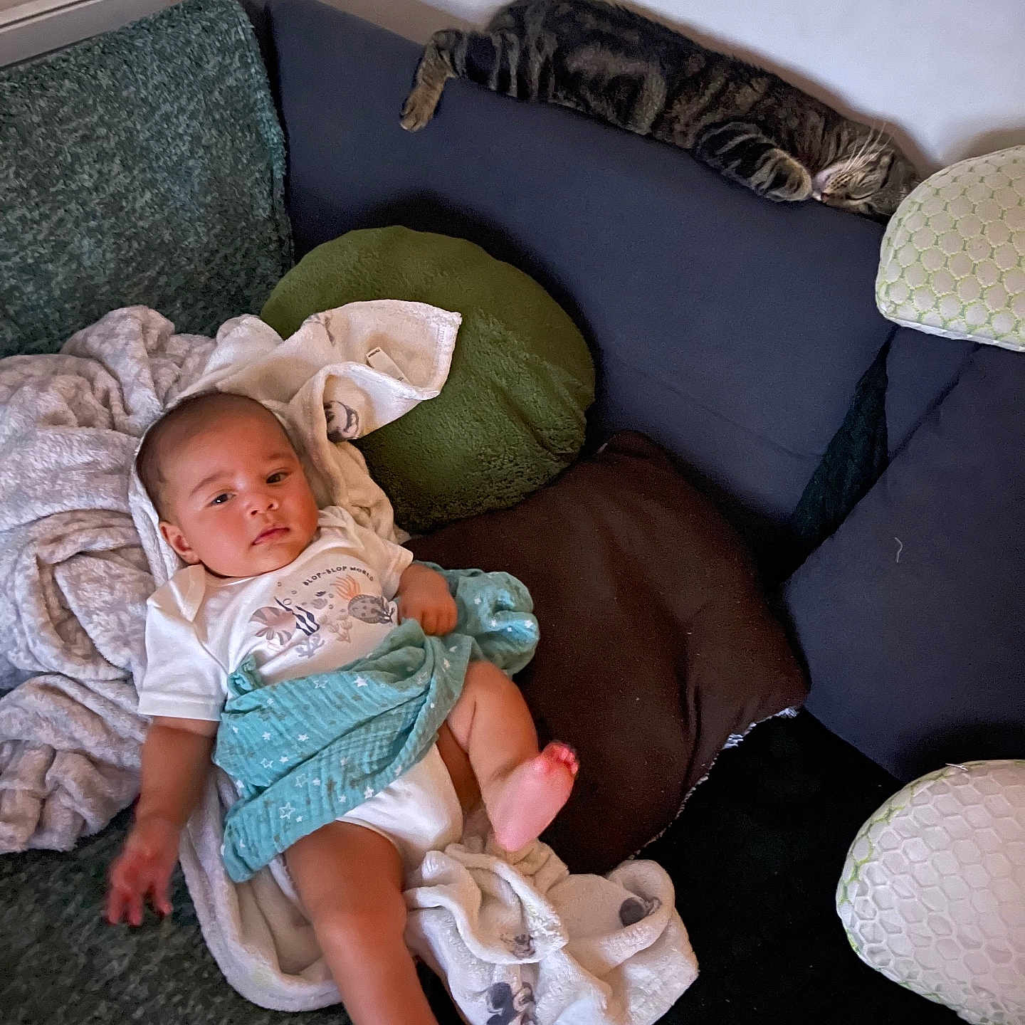 Komang Aïden Bessaye participe au concours pour gagner de l'argent avec cette photo : baby, blanket, cat, child, comfort, couch, cozy, furniture, home, indoor, infant, laying_down, person, pillow, relaxation, resting, sleeping_cat, soft_furnishings, tabby_cat, toddler