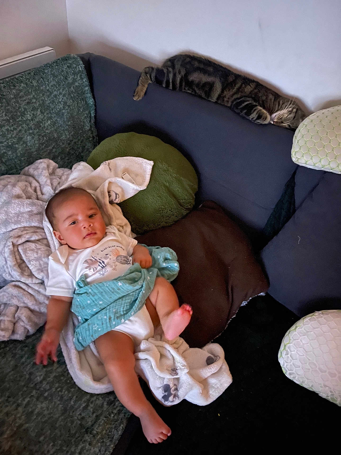 Komang Aïden Bessaye participe au concours pour gagner de l'argent avec cette photo : baby, child, couch, blanket, pillow, cat, tabby_cat, furniture, indoor, resting, sleeping_cat, toddler, soft_furnishings, cozy, relaxation, infant, person, home, comfort, laying_down