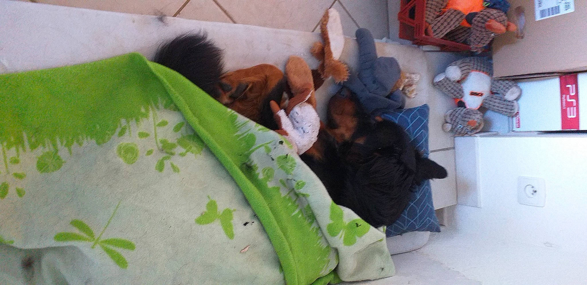 Pixel participe au concours pour gagner de l'argent avec cette photo : bed_sheet, furniture, linens, nap, pillow, room, textile