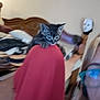 kitten, cat, tabby, red_cloth, bed, headboard, glasses, person_partial, mask, wooden_furniture, indoor, blur, close_up, feline, pet, animal, cute, resting, young_animal, face_mask