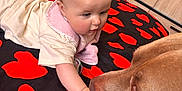 Enora participe au concours pour gagner de l'argent avec cette photo : animal, baby, bed, black_blanket, blanket, cabinet, closeup, curious, dog, face, furniture, hand, indoor, infant, interaction, pet, red_hearts, toddler, touching, wooden_floor