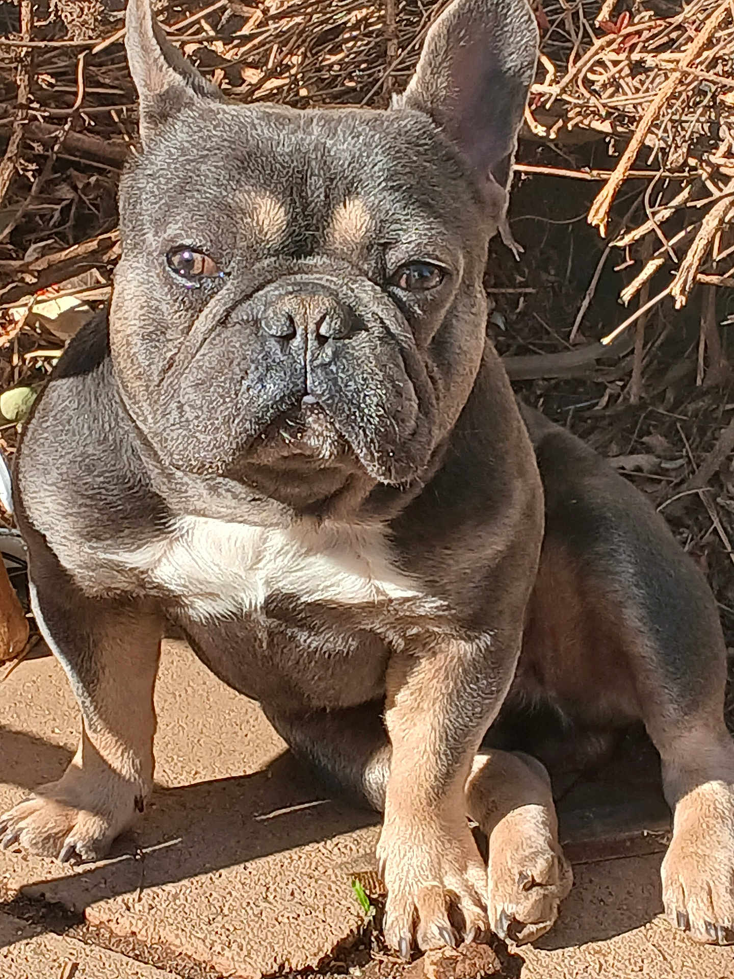 Axel