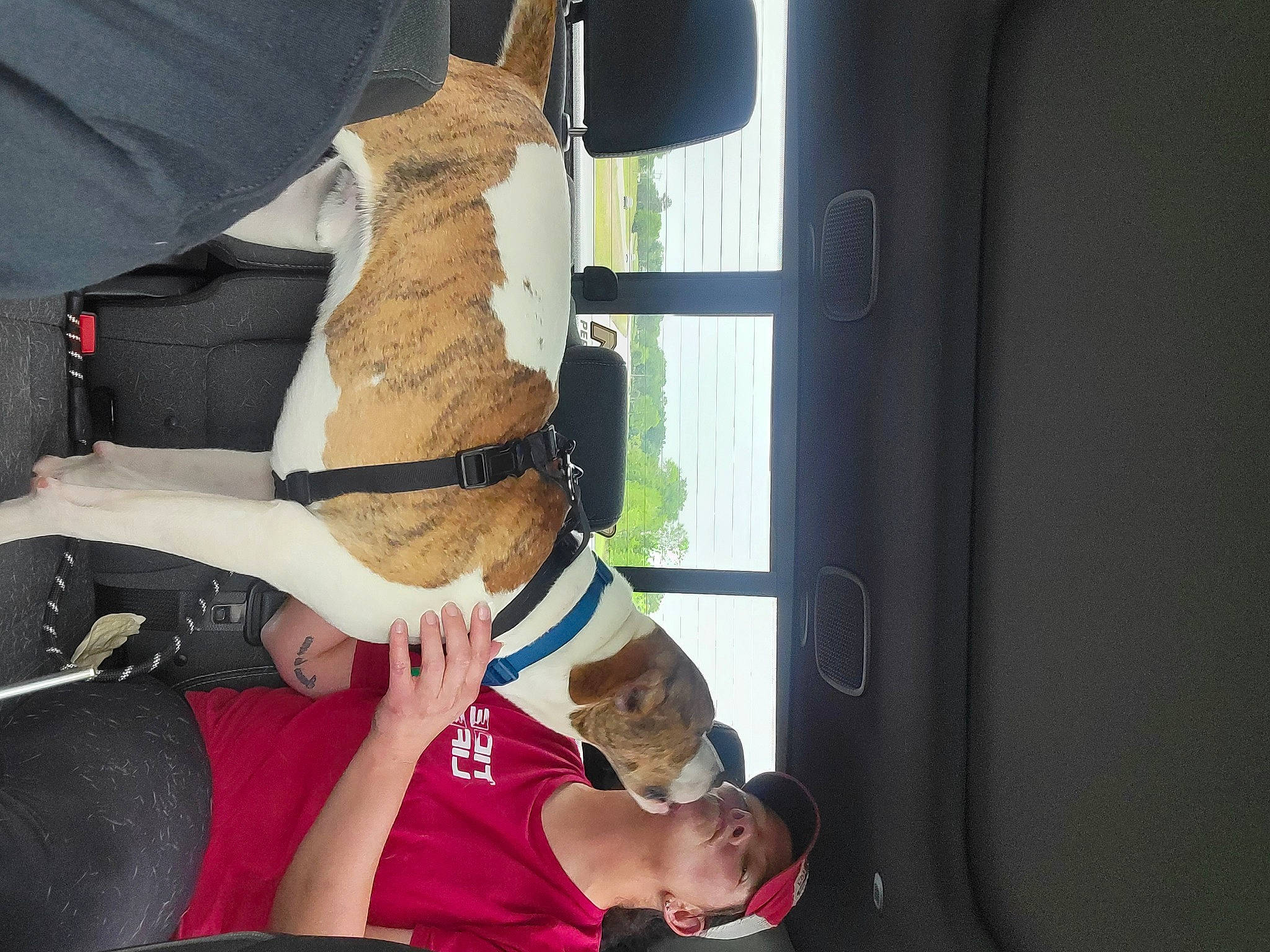 Roland is registered to the contest to win money with this photo: carmine, elbow, event, foot, fun, gesture, human_leg, knee, thigh, vehicle_door, wrist